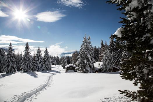 homepage-9-von-18