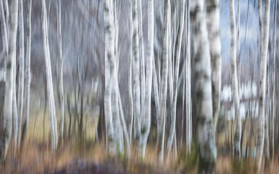 homepage-7-von-18