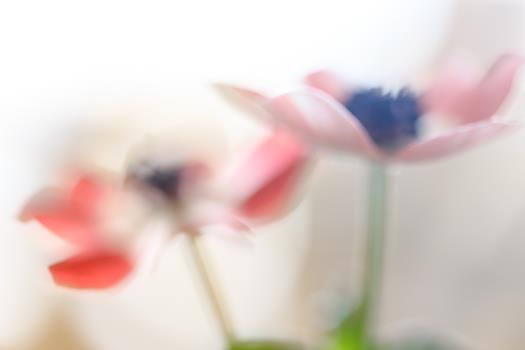 homepage-14-von-18