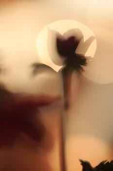 homepage-18-von-18