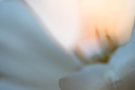 homepage-12-von-18