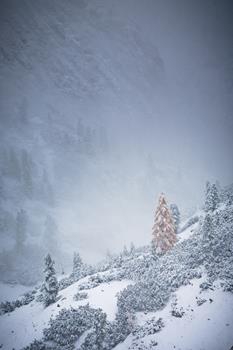 homepage-2-von-18