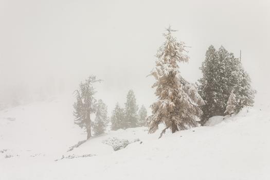 homepage-3-von-18