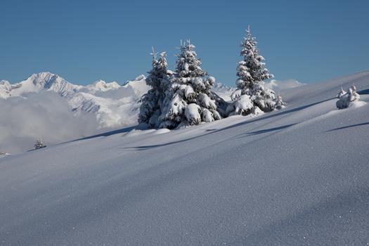 homepage-11-von-18