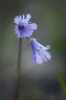 homepage-1-von-18