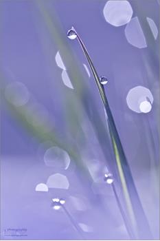 bild983