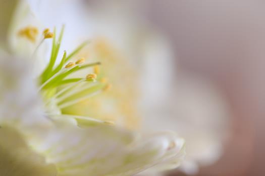 homepage-8-von-18