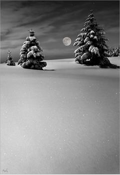 almwinter-1-von-1-sichtweise