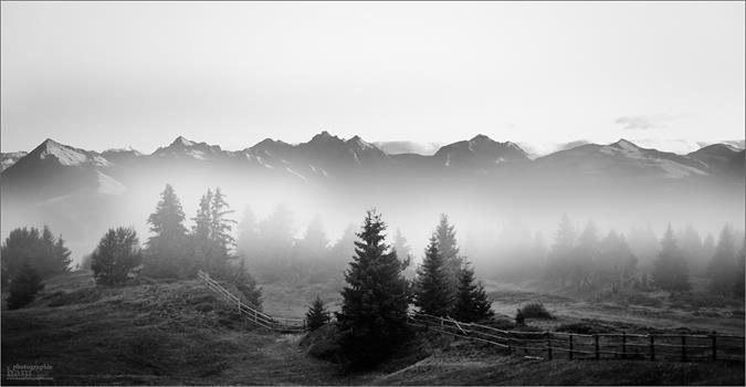 alm-nebel