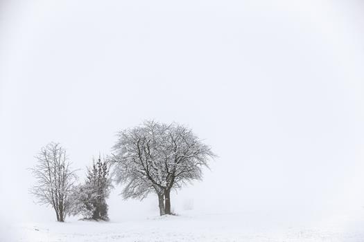 homepage-10-von-18